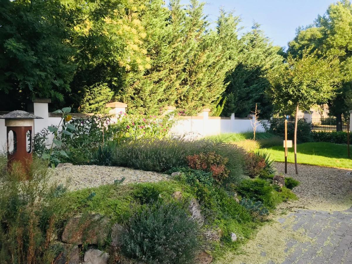 Elizabeth Garden Premium Apartment Kecskemét Eksteriør billede